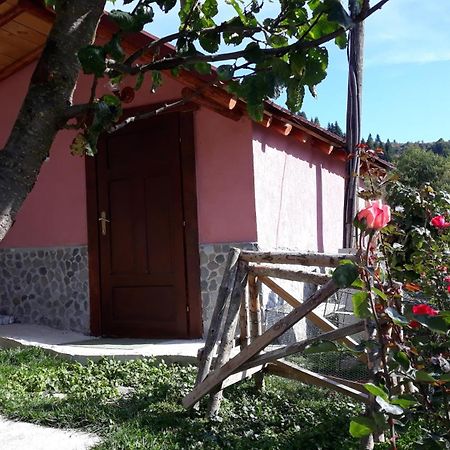 Villa Vrben Екстер'єр фото
