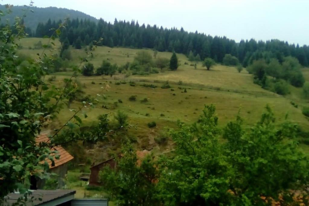 Villa Vrben Екстер'єр фото