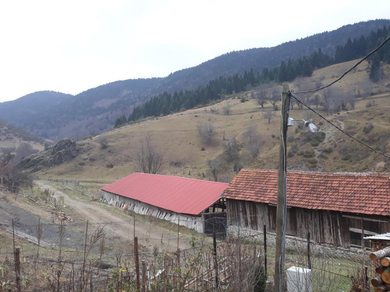 Villa Vrben Екстер'єр фото