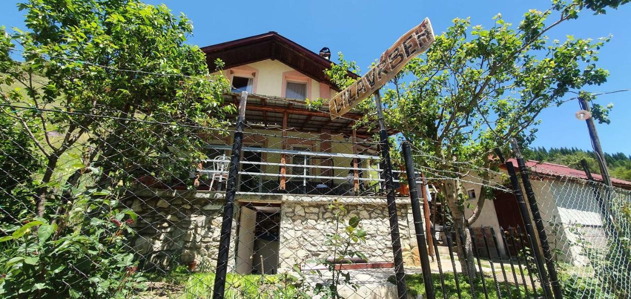 Villa Vrben Екстер'єр фото
